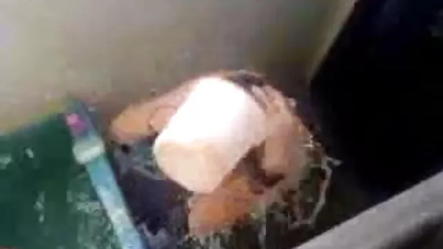 ஓம் கேர்ள் ஆங்கிலம் மை, கவர்ச்சி அணிதல்!