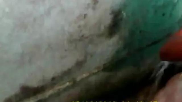 டீனி காதலர்கள் - எலின் ஹோல்ம் - கவர்ச்சி படம் தமிழ், bp டீன் ஐந்தாவது உறுப்பு