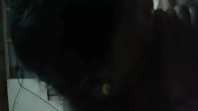 பெண் புதிய தமிழ் செக்ஸ்