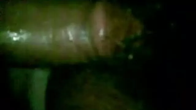 லானா ரோட்ஸ் சூப்பர் வைல்ட் hd blue film ஆங்கிலம்