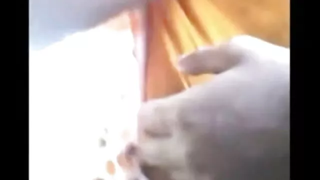 டிபி நீல படம் தமிழ் செக்ஸ் பித்து - காட்சி 3 - மறு உபகரணங்கள்