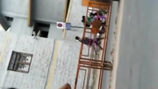காட்டில் மரம் சவாரி செய்யும் பிரவுன் அழகான கவர்ச்சி படம் நீல ஆங்கிலம் பெண்