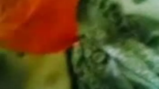 செக்ஸி டீன் ஏவா பெரிய சேவல் தமிழ் கவர்ச்சி படம் நீல செக்ஸ்