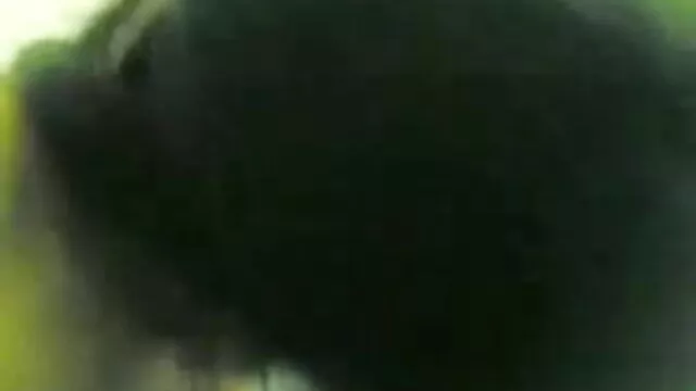 நிம்போ வெறுப்பு செக்ஸ் HD கவர்ச்சி படம் தமிழ்