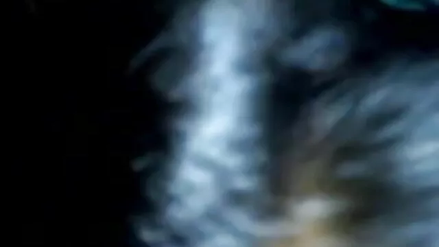 அலெக்ஸ் விழுங்கி கிக் மற்றும் ஆங்கிலம் ஆங்கிலம் sexy டிக் விழுங்க