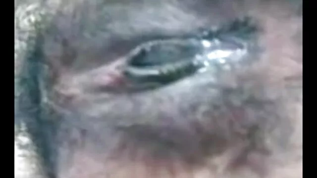 மாணவர் பெரும்பாலான xnxx அழகி விழுங்குகிறது