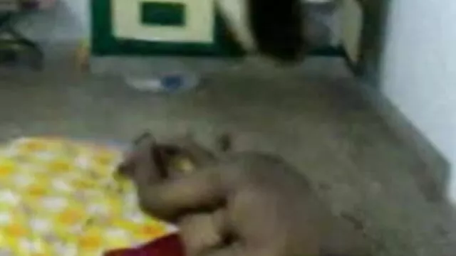 கேப்ரி ஆண்டர்சன் மற்றும் ஜென்னா ஹேஸ் தமிழ் செக்ஸ் திறந்த