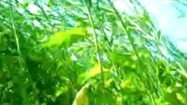 கர்ட்னி சிம்ப்சன் தமிழ் கவர்ச்சி மாமியின் முழு hd