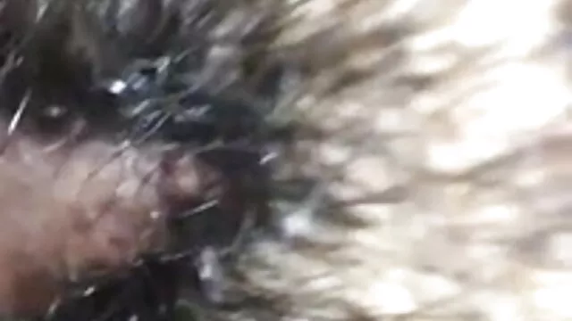 பங்களா ஆங்கிலம் bp செக்ஸ் படம் வீடியோ