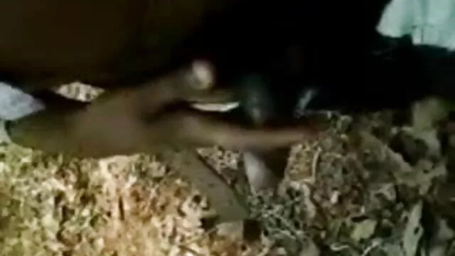 ஒரு விசித்திரமான கனவு ஒரு சிறிய முழு hd, கவர்ச்சி ஆங்கிலம் படி சகோதரி - கல் - குடும்ப சிகிச்சை.
