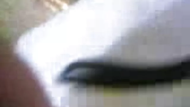 மகிழ்ச்சி ஆங்கிலம் film bf செக்ஸ் - காட்சி 4 - மறு உற்பத்தி